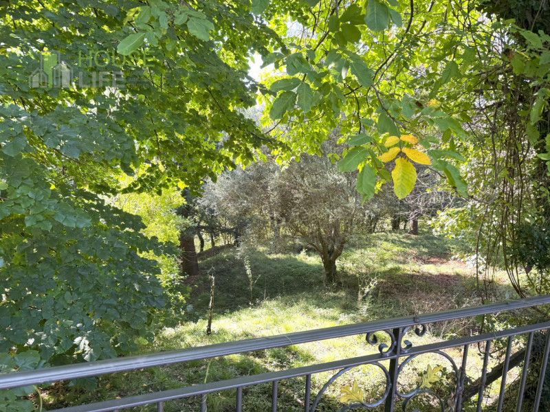 FARA VICENTINO: SPLENDIDA PROPRIETA' AGRICOLA IN COLLINA con vigneto, abitazione, annessi rustici...