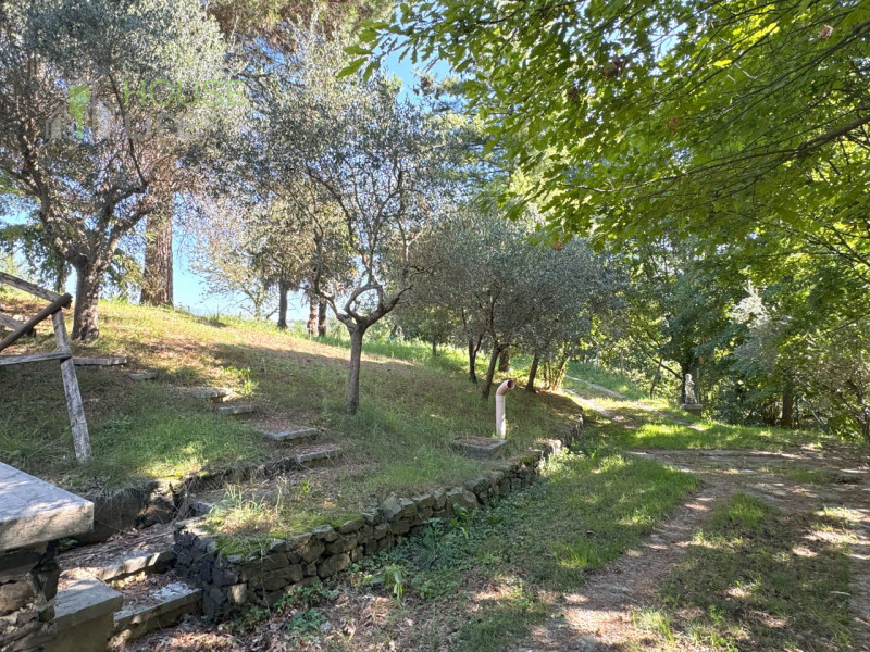 FARA VICENTINO: SPLENDIDA PROPRIETA' AGRICOLA IN COLLINA con vigneto, abitazione, annessi rustici...