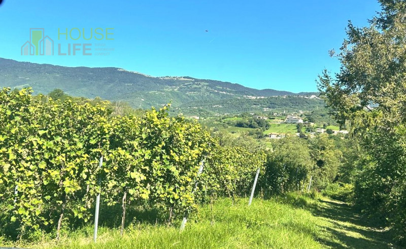 FARA VICENTINO: SPLENDIDA PROPRIETA' AGRICOLA IN COLLINA con vigneto, abitazione, annessi rustici...