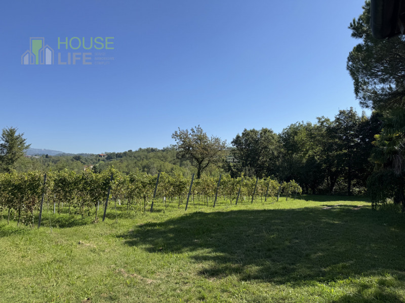 FARA VICENTINO: SPLENDIDA PROPRIETA' AGRICOLA IN COLLINA con vigneto, abitazione, annessi rustici...