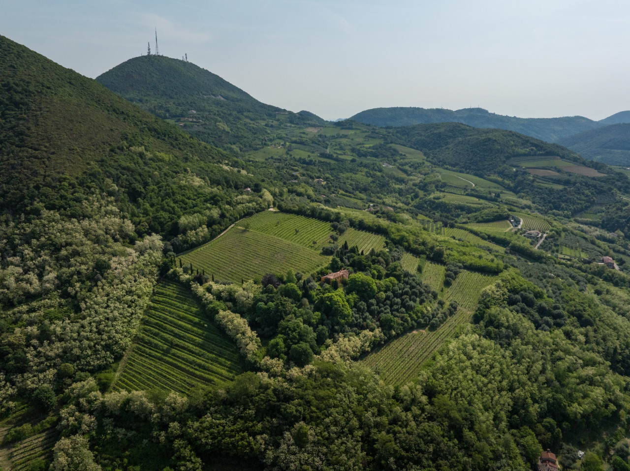 immagine annuncio 5 di 9
