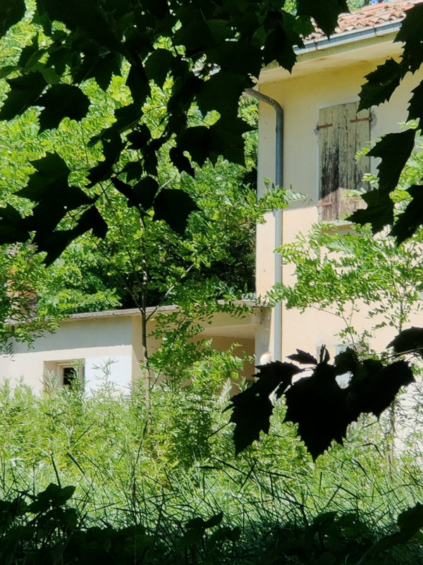 Gruaro (VE) a 5  km dall'uscita dell'autostrada A4 Portogruaro, su lotto di circa 2700 mq casa si...