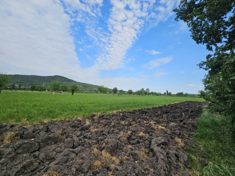 Proponiamo in vendita a Baone, in una strada interna e tranquilla che porta verso il centro del P...