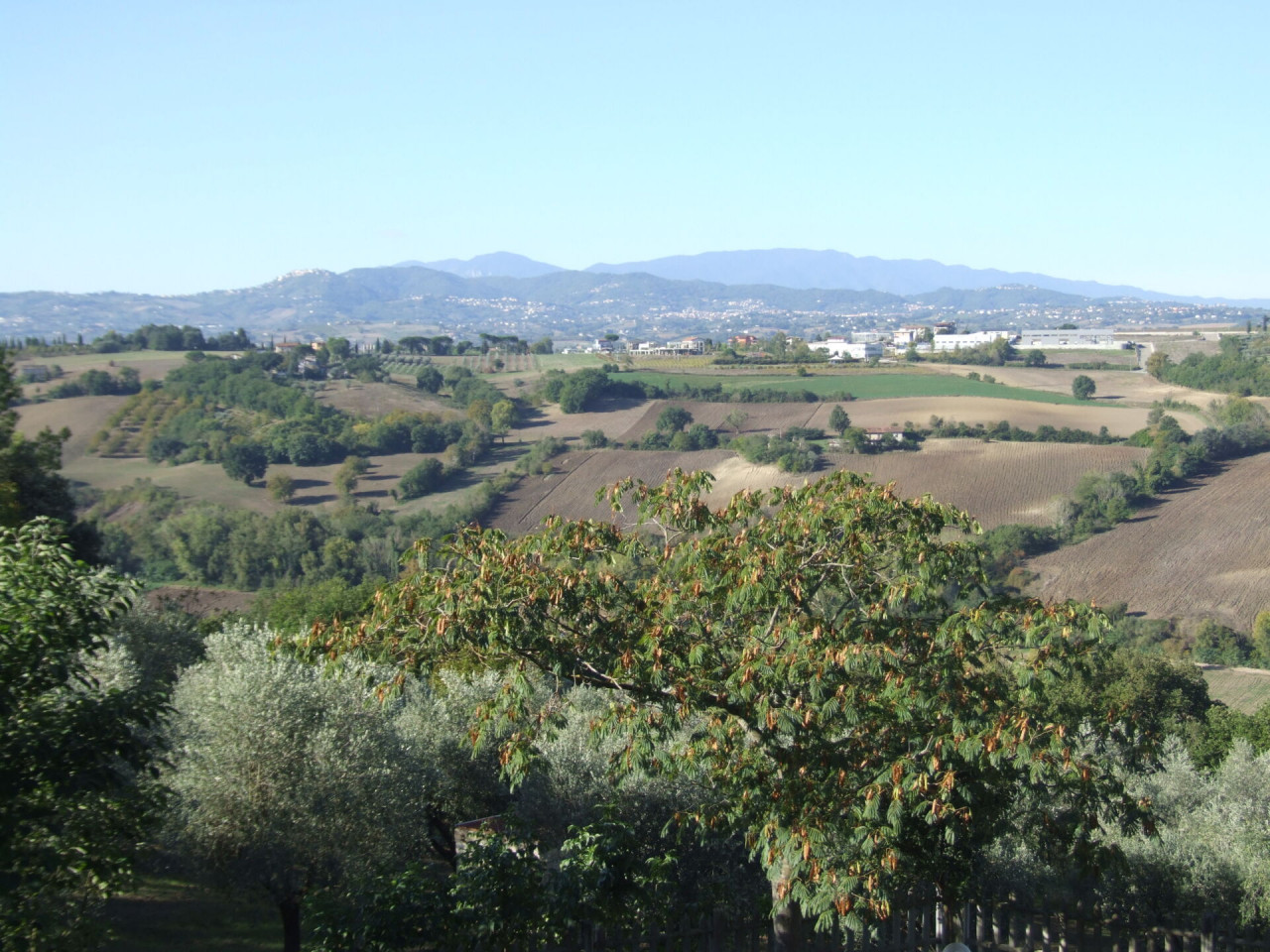immagine annuncio 6 di 14