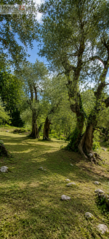 Nel cuore autentico del Gargano, immersa nell’incantevole paesaggio di Vico del Gargano, proponia...