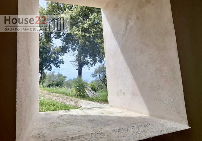 Nel cuore autentico del Gargano, immersa nell’incantevole paesaggio di Vico del Gargano, proponia...