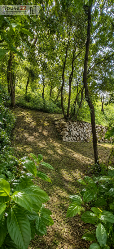 Nel cuore autentico del Gargano, immersa nell’incantevole paesaggio di Vico del Gargano, proponia...