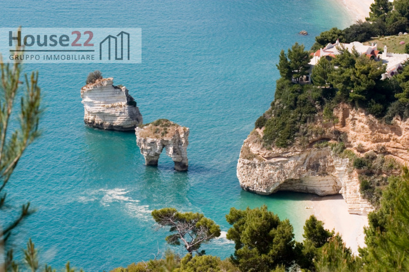 Nel cuore autentico del Gargano, immersa nell’incantevole paesaggio di Vico del Gargano, proponia...