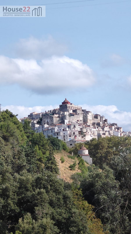 Nel cuore autentico del Gargano, immersa nell’incantevole paesaggio di Vico del Gargano, proponia...