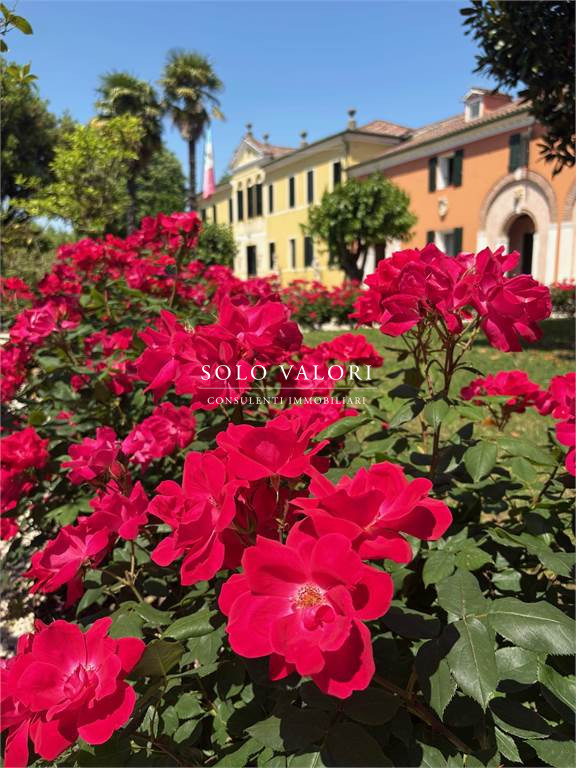Rif. C355 (per info 338 9387816 Matteo – 340 2242606 Marco)

Immersa nel paesaggio suggestivo del...
