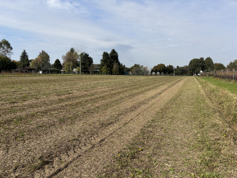INGRANDISCI LA TUA PROPRIETA' TERRIERA E POTENZIA LA TUA ATTIVITA' AGRICOLA!!! TERRENO AGRICOLO A...
