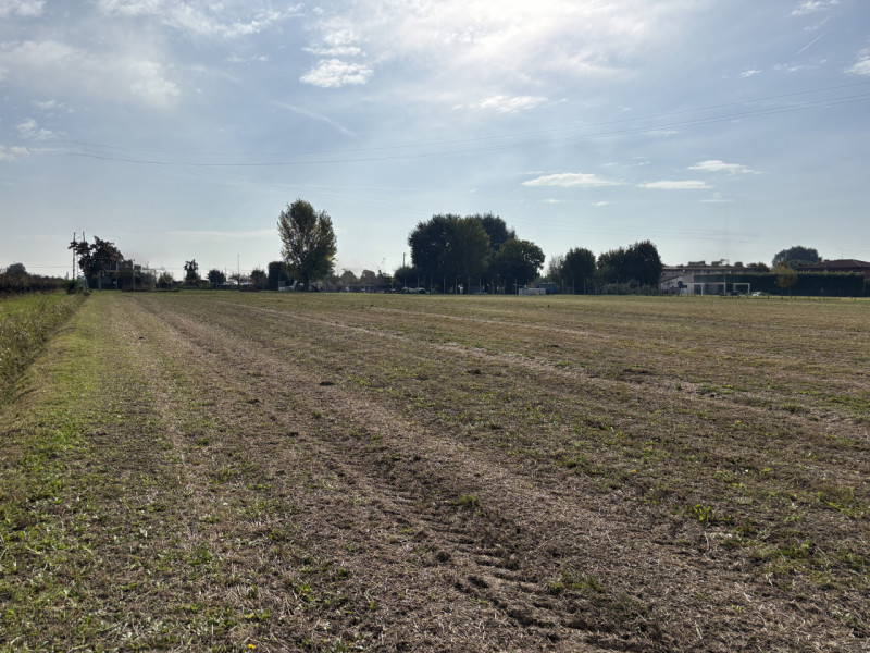 INGRANDISCI LA TUA PROPRIETA' TERRIERA E POTENZIA LA TUA ATTIVITA' AGRICOLA!!! TERRENO AGRICOLO A...