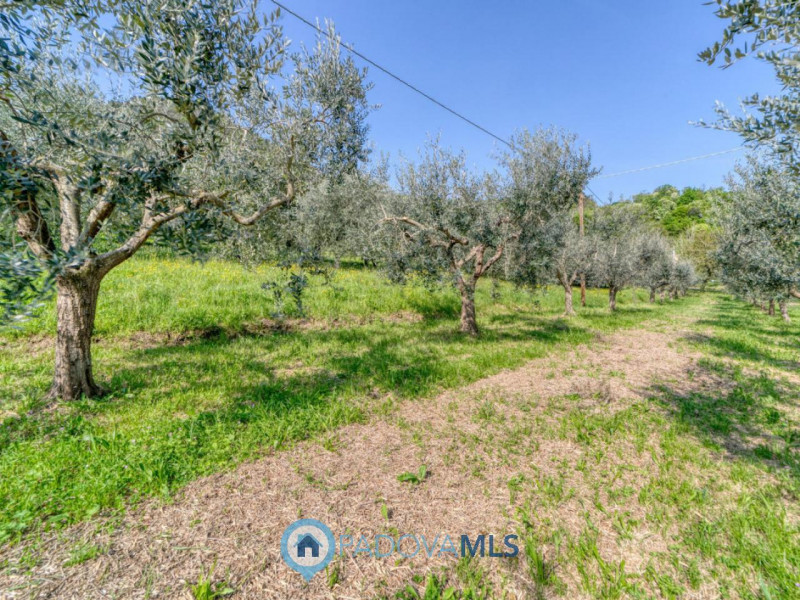 Immobile in esclusiva al Gruppo Padova MLS
MONSELICE Zona Solana, ai piedi del colle Montericco i...