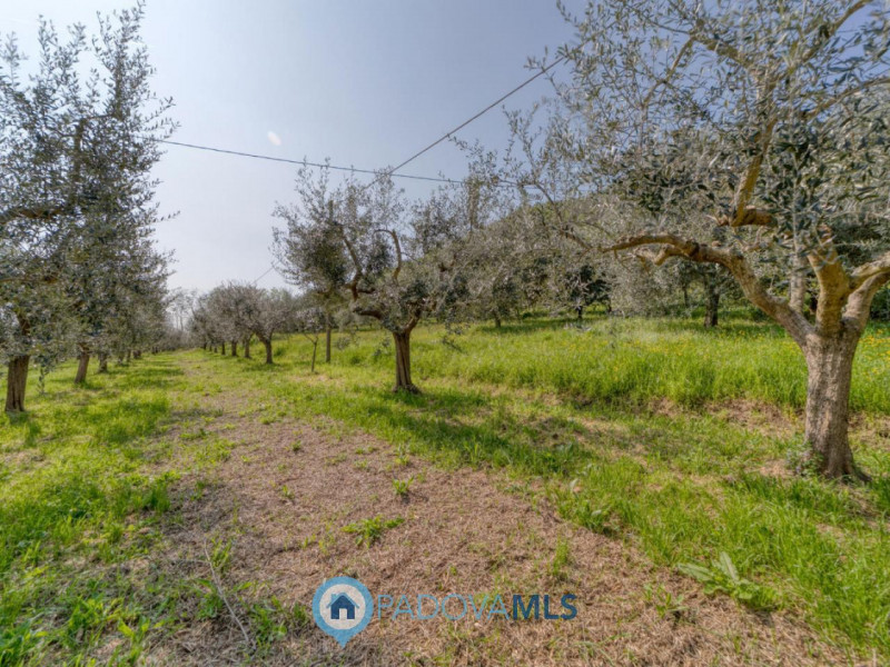 Immobile in esclusiva al Gruppo Padova MLS
MONSELICE Zona Solana, ai piedi del colle Montericco i...