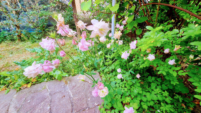 Sogni una casa singola, con giardino, con tanto spazio per far crescere la tua famiglia e possibi...