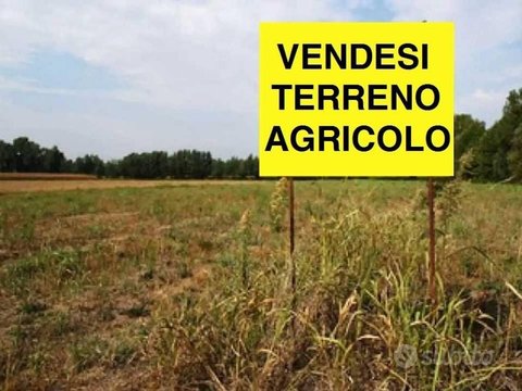 TERRENO NON EDIFICABILE DI CIRCA MQ. 9.800 IN VIALE X GIUGNO ZONA MONTE BERICO. EURO 49.000. CODI...