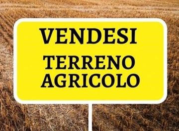 TERRENO NON EDIFICABILE DI CIRCA MQ. 9.800 IN VIALE X GIUGNO ZONA MONTE BERICO. EURO 49.000. CODI...