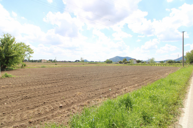 Si propone in vendita terreno agricolo che si estende per circa 3263 mq situato nel comune di Per...