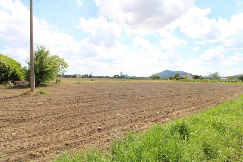 Si propone in vendita terreno agricolo che si estende per circa 3263 mq situato nel comune di Per...