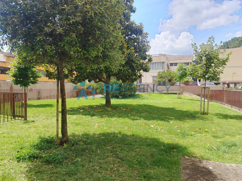 Firenze - Piazza Puccini

Stai cercando un appartamento Bilocale in zona servita realizzato ex no...