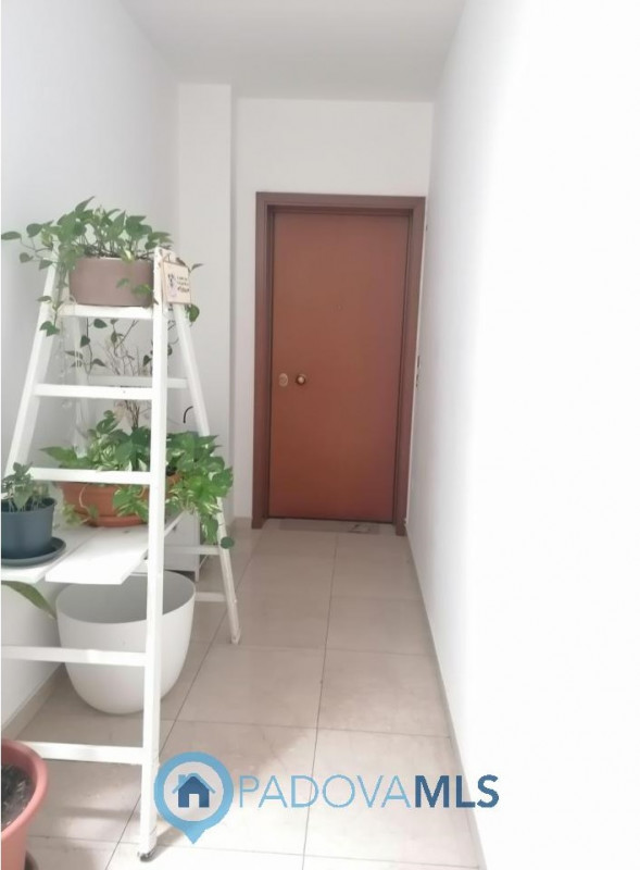 Immobile in esclusiva al Gruppo Padova MLS

VIGODARZERE - In zona residenziale, comoda a tutti i ...