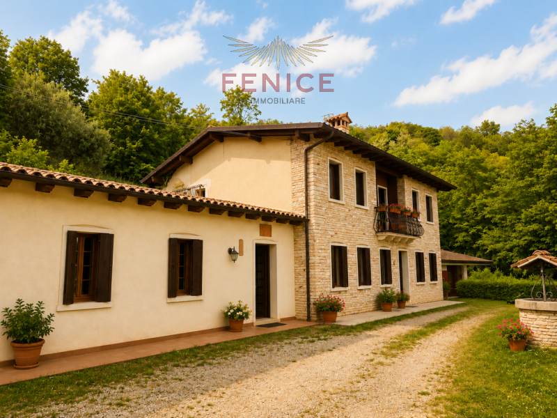 Scopri questa splendida villa con dependance situata nel cuore di Possagno a pochi metri dal Temp...