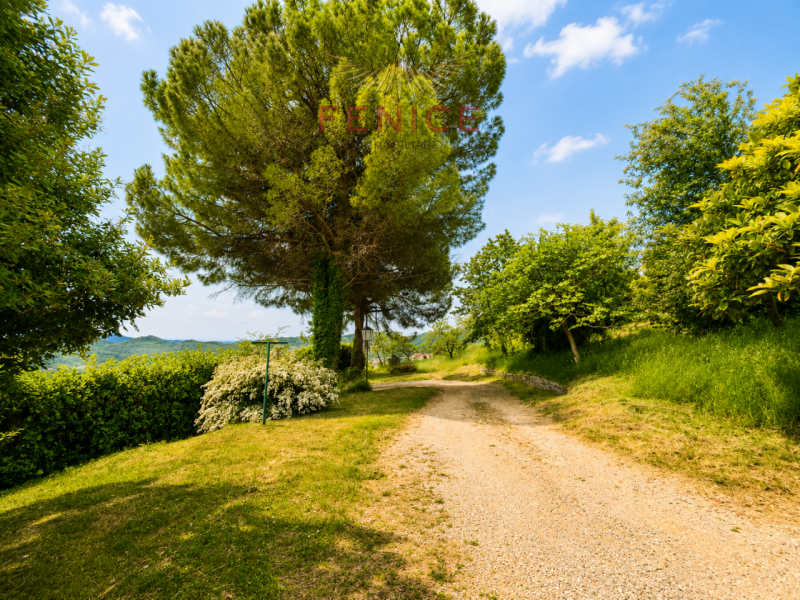 Scopri questa splendida villa con dependance situata nel cuore di Possagno a pochi metri dal Temp...