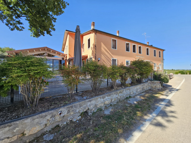 Proponiamo in vendita, nel suggestivo contesto dei Colli Berici a Sarego, interessante opportunit...