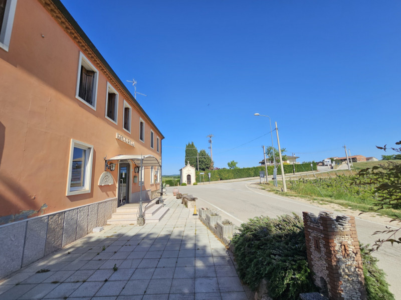 Proponiamo in vendita, nel suggestivo contesto dei Colli Berici a Sarego, interessante opportunit...