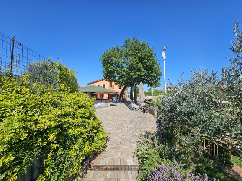 Proponiamo in vendita, nel suggestivo contesto dei Colli Berici a Sarego, interessante opportunit...