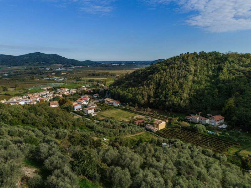 Galzignano Terme: Villa contemporanea situata in posizione aperta e panoramica; la proprietà di c...