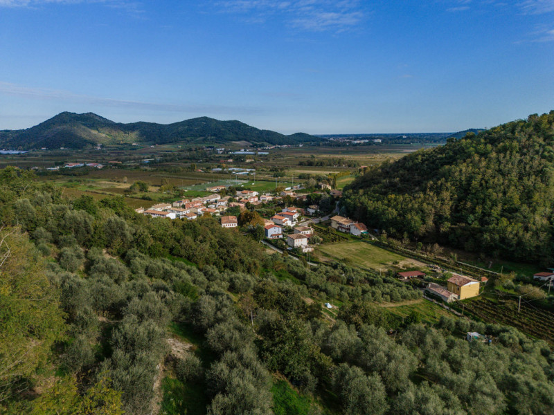 Galzignano Terme: Villa contemporanea situata in posizione aperta e panoramica; la proprietà di c...