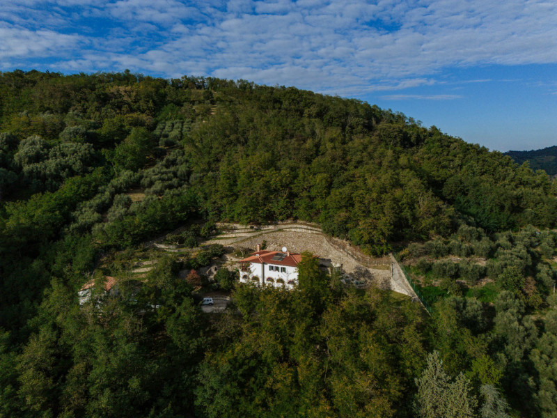 Galzignano Terme: Villa contemporanea situata in posizione aperta e panoramica; la proprietà di c...
