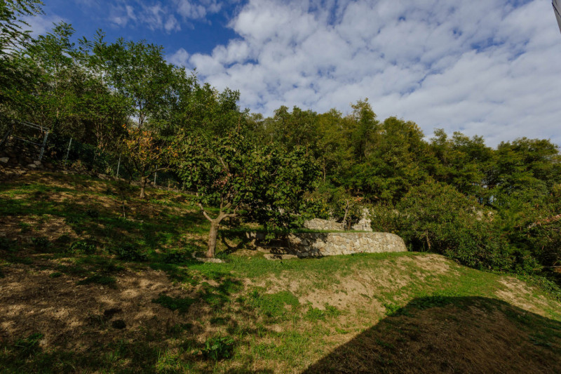 Galzignano Terme: Villa contemporanea situata in posizione aperta e panoramica; la proprietà di c...