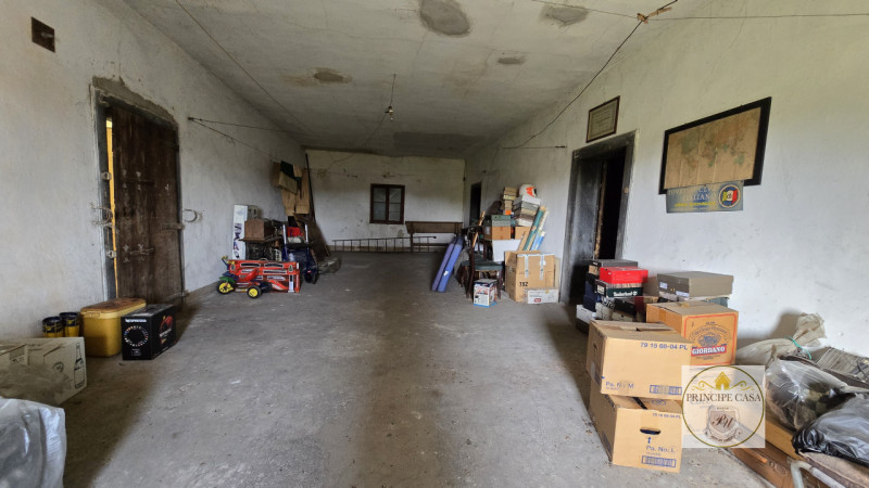 Rif. S441 - Proponiamo in vendita compendio immobiliare di pregio composto da villa storica svilu...