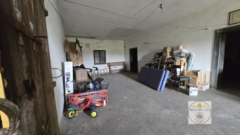 Rif. S441 - Proponiamo in vendita compendio immobiliare di pregio composto da villa storica svilu...