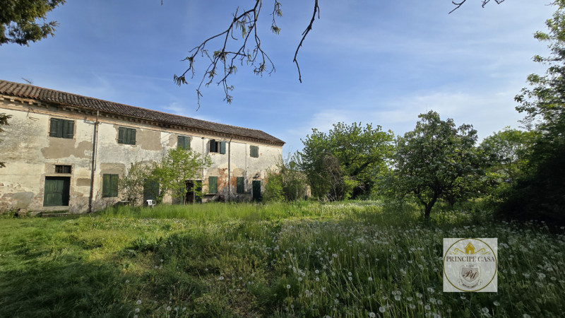 Rif. S441 - Proponiamo in vendita compendio immobiliare di pregio composto da villa storica svilu...