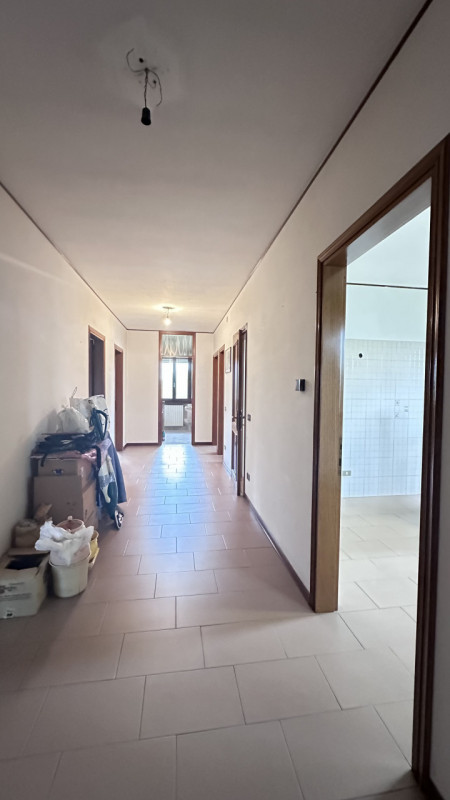 In vendita nel cuore della tranquilla frazione di San Michele delle Badesse, Borgoricco, proponia...