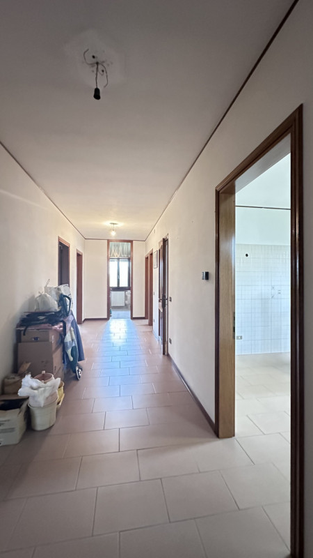 In vendita nel cuore della tranquilla frazione di San Michele delle Badesse, Borgoricco, proponia...