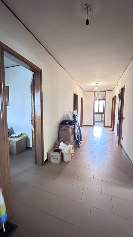 In vendita nel cuore della tranquilla frazione di San Michele delle Badesse, Borgoricco, proponia...