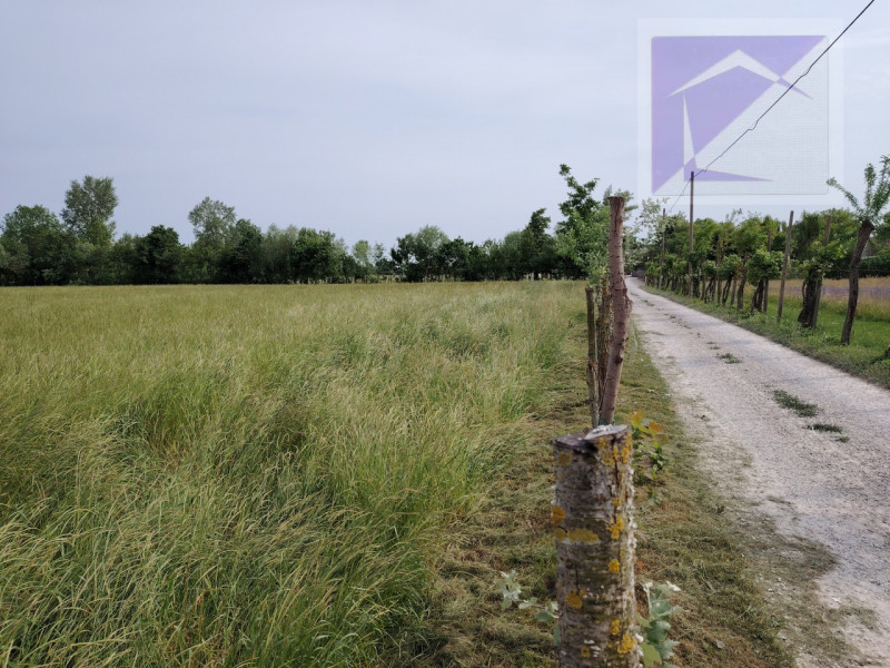 Situato nel pittoresco comune di Trebaseleghe, nella tranquilla zona di Fossalta, proponiamo in v...
