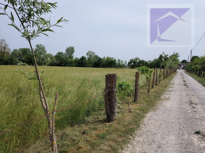 Situato nel pittoresco comune di Trebaseleghe, nella tranquilla zona di Fossalta, proponiamo in v...