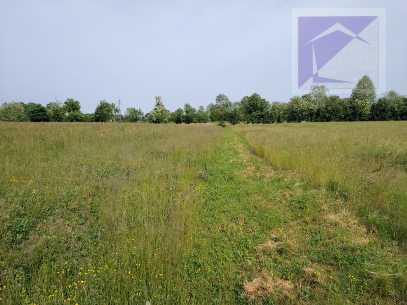 Situato nel pittoresco comune di Trebaseleghe, nella tranquilla zona di Fossalta, proponiamo in v...