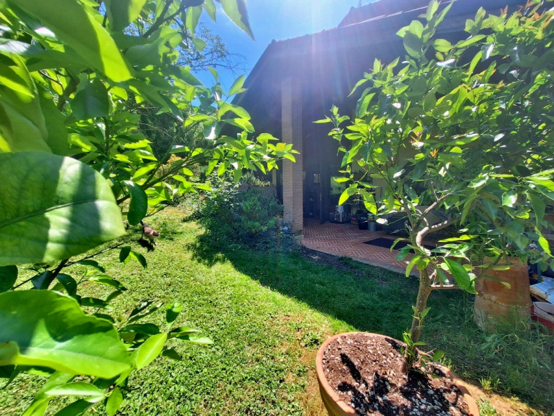VILLA IN VENDITA AD ARCUGNANO, ZONA LAPIO - Rif. 8393

Scopri questa straordinaria villa situata ...