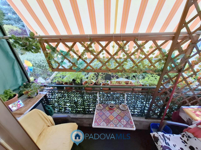 Immobile in esclusiva al Gruppo Padova MLS
PORZIONE DI BIFAMILIARE CON GIARDINO – ARCELLA/S.BELLI...