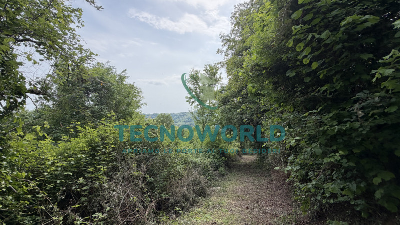 Proponiamo in vendita un affascinante rustico/rudere di circa 140 mq situato nel comune di Calven...