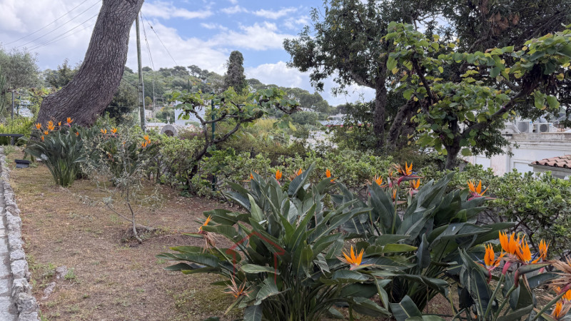 Scopri il fascino autentico di Anacapri in questa esclusiva casa singola terratetto da riattare, ...