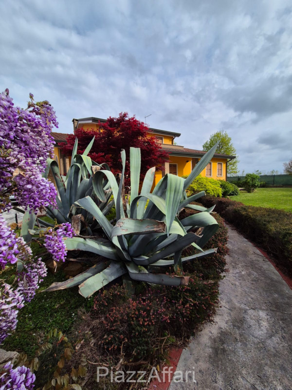 Campagnola di Brugine, si propone recente villa singola con retrostante capannone di 210 mq + sco...