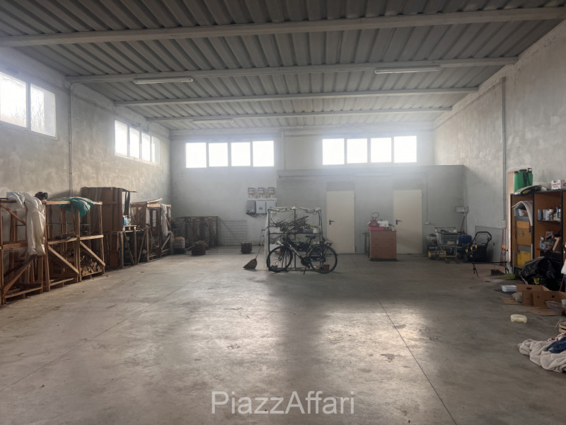 Campagnola di Brugine, si propone recente villa singola con retrostante capannone di 210 mq + sco...