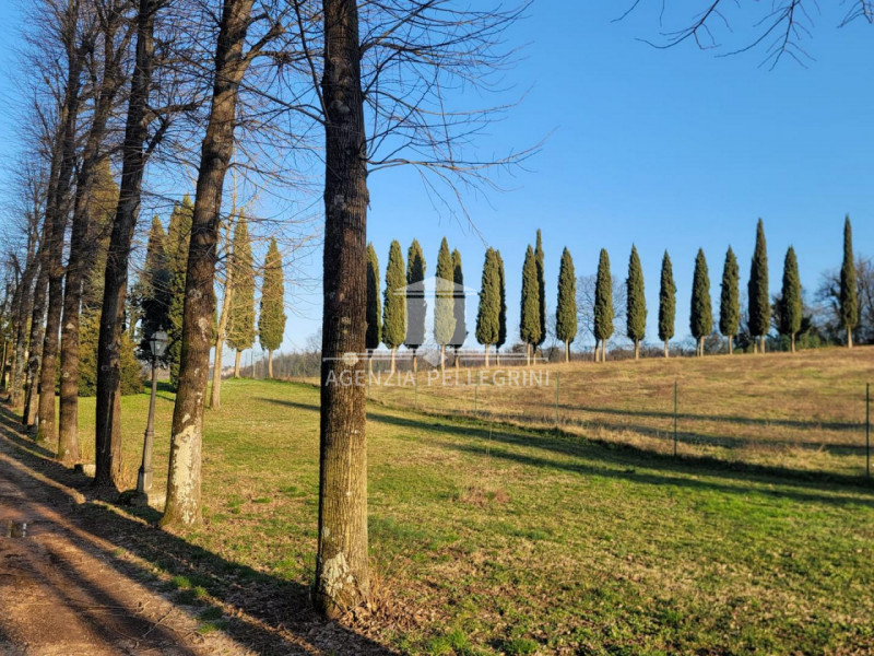 PROPONIAMO IN AFFITTO VILLA STORICA IN COLLINA all’interno di un prestigioso complesso rinascimen...